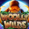 Woolly Wilds